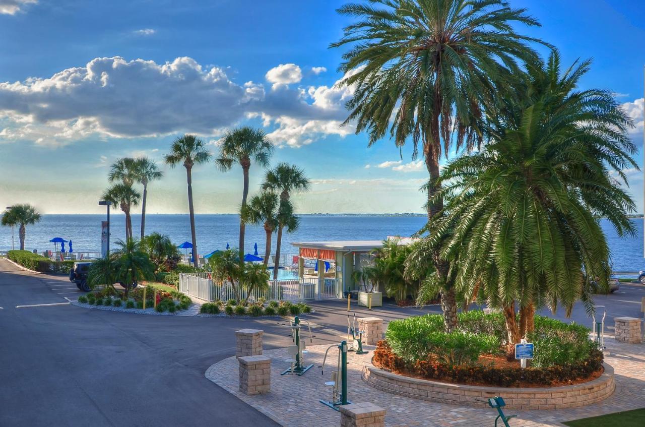 202-Pool, Wifi, Close To Bucs Stadium Tampa Extérieur photo